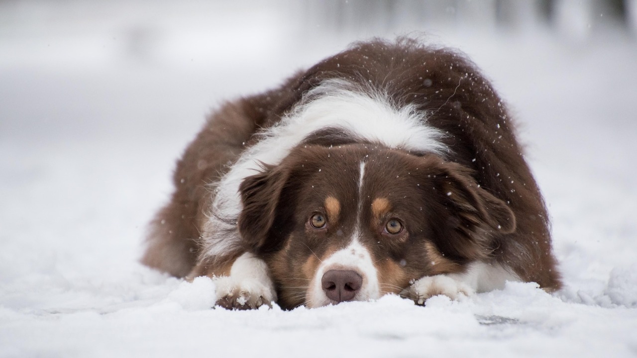 Игровые зоны рассчитываются из нормы одна на 10...