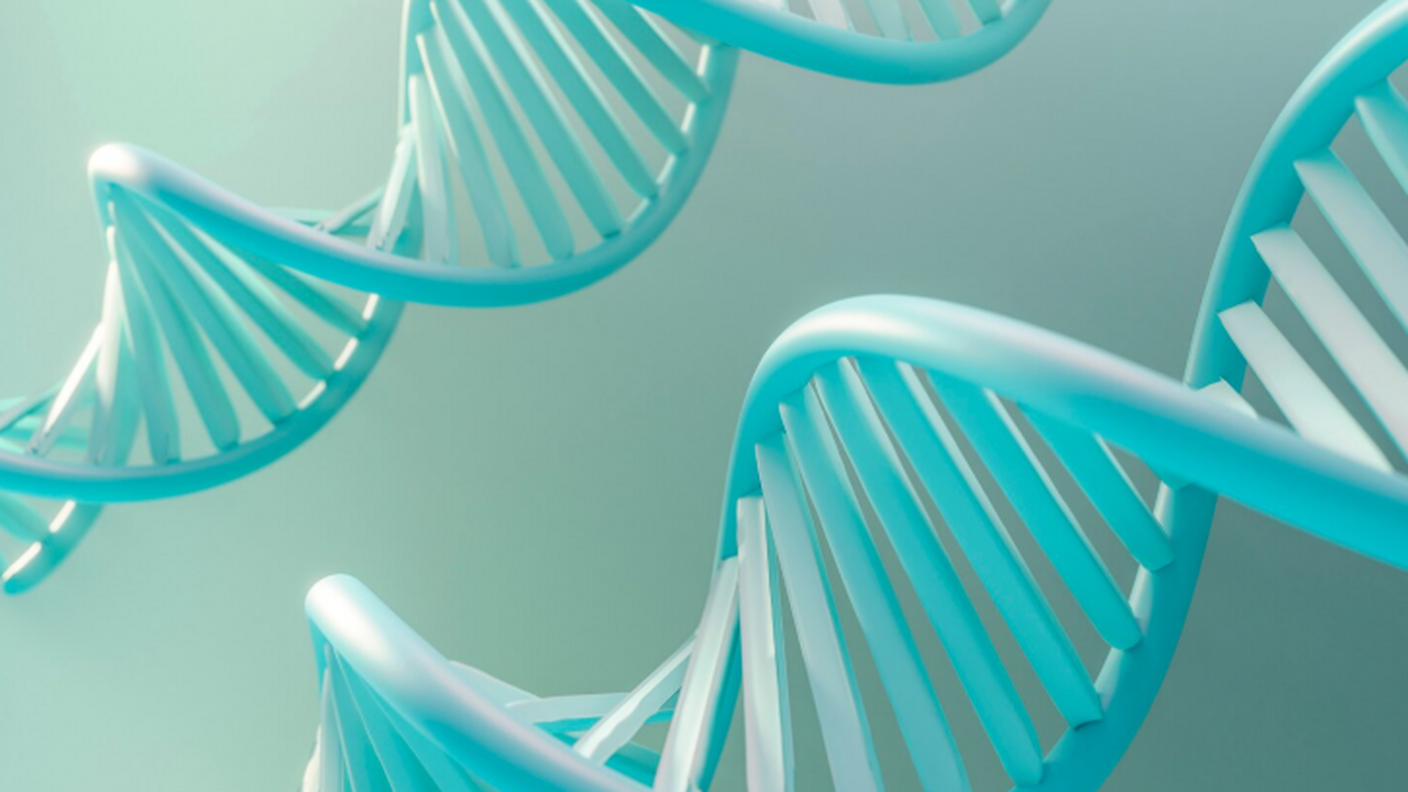 Археогенетическое исследование на стоянке Айвид...