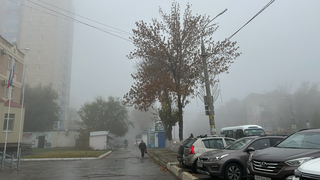 Самарское речное пассажирское предприятие преду...