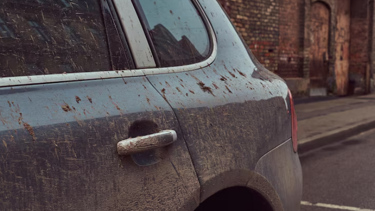 Роскачество напомнило, что регистрационные знак...