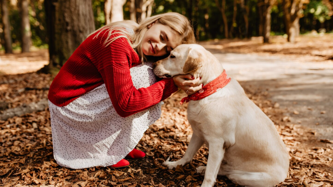 Собаки жили рядом с человеком почти 16 тысяч лет назад Анализ генетики показал, что собаки сопровождал...