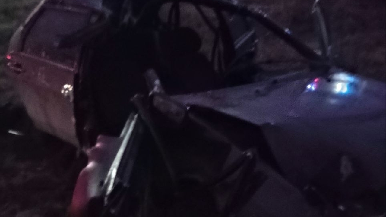 В Волжском районе ВАЗ-2109 столкнулся с лосем