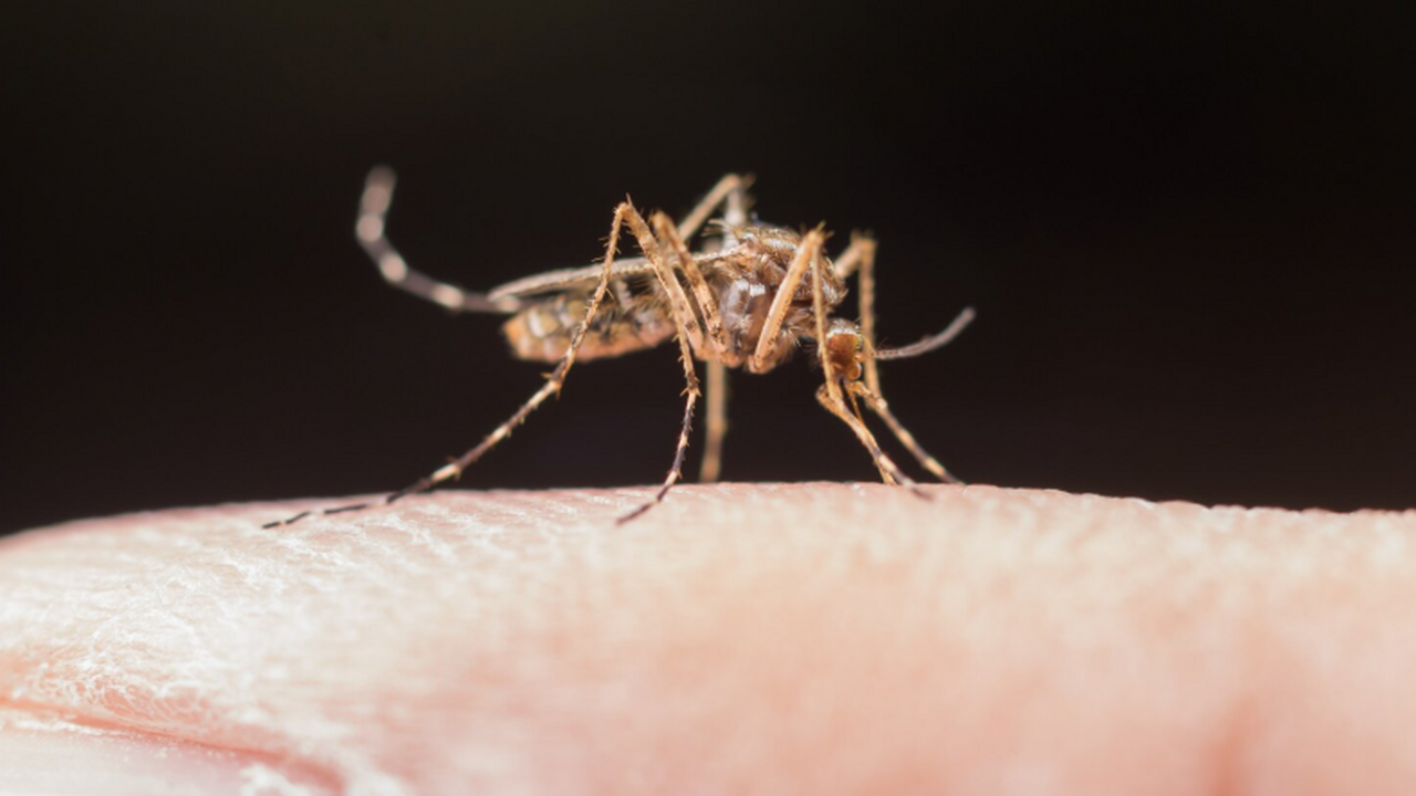 Инфекционист Матюхин в интервью РИАМО заявил о ...