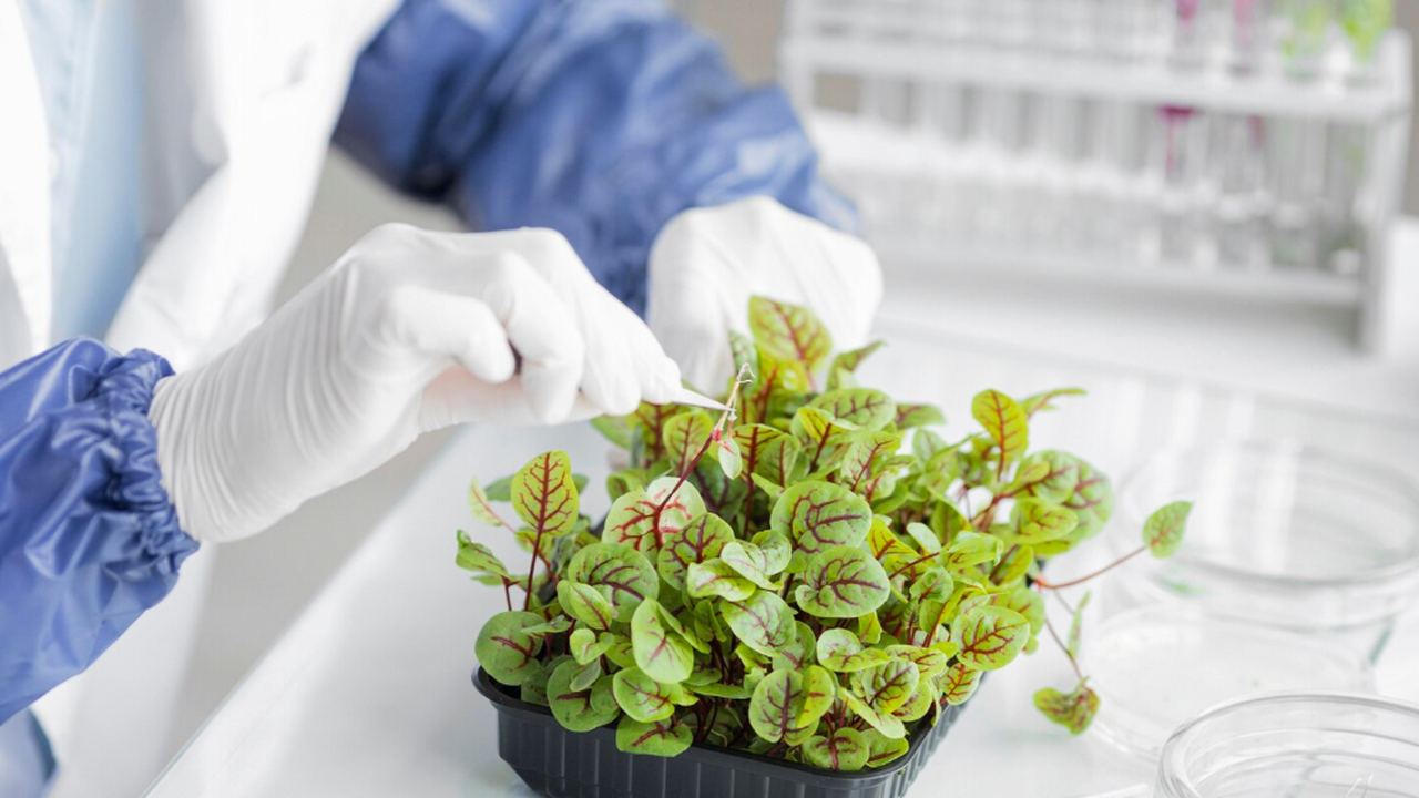 Учёные описали экстремальный пример эволюции у ...