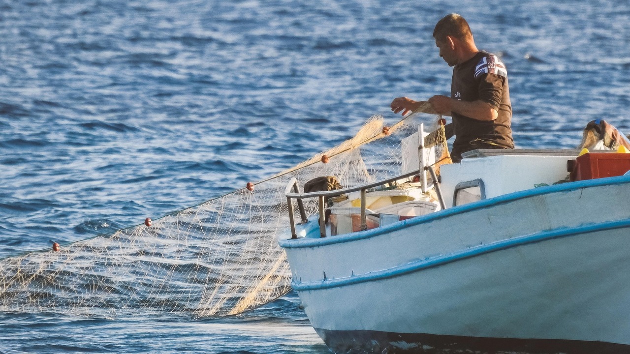 В регионе проходит экологическая акция «Всеросс...