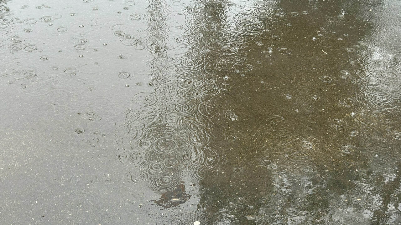 Начало апреля в Самарской области встретит жителей дождями и теплом В Самарской области прогнозируют дождливое нача...