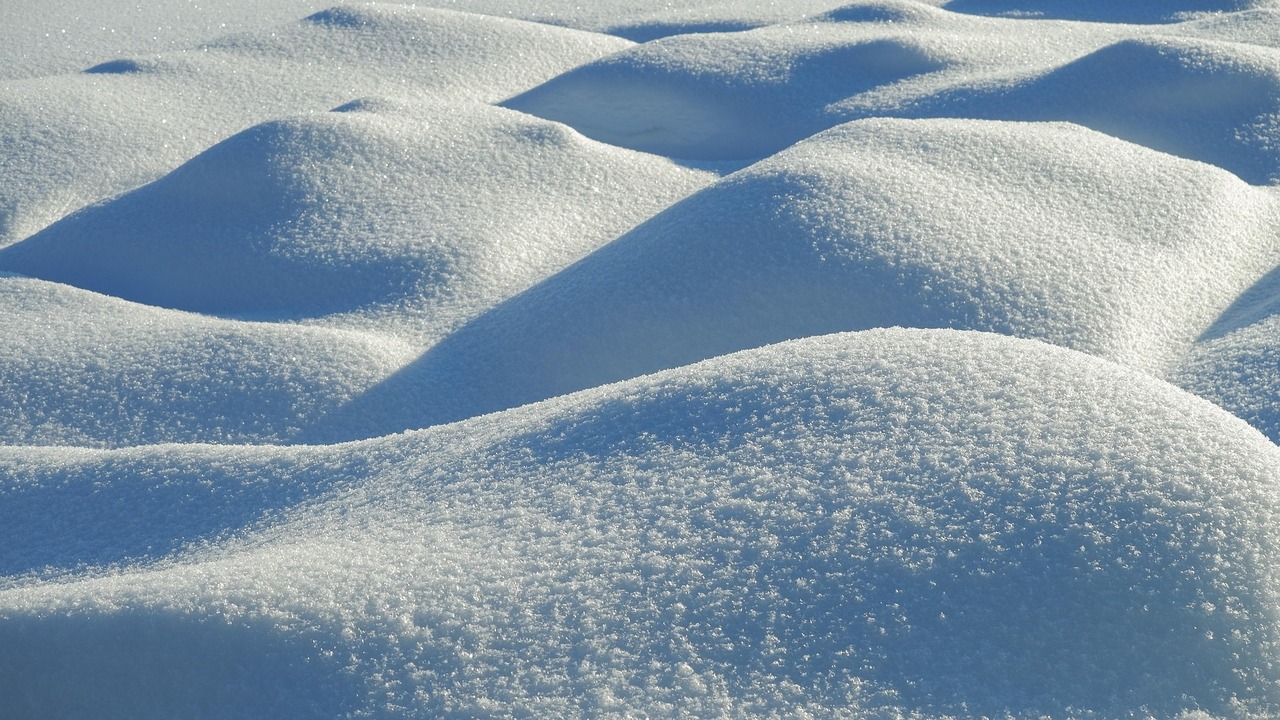 Конкурс по поиску подрядчика объявила администр...