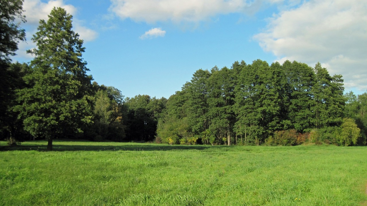 Продажа проходит в рамках процедуры банкротства