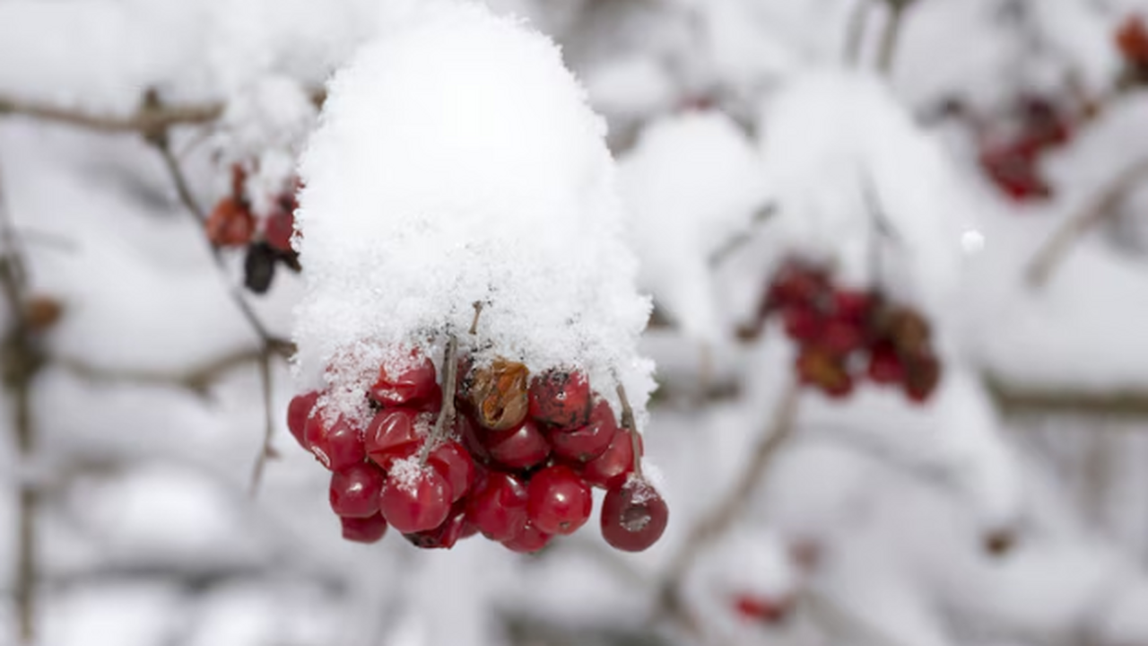 Зима отменяется: Вильфанд дал новый прогноз с ноября — нас ждет полный откат В столице в конце октября станет прохладнее, но...