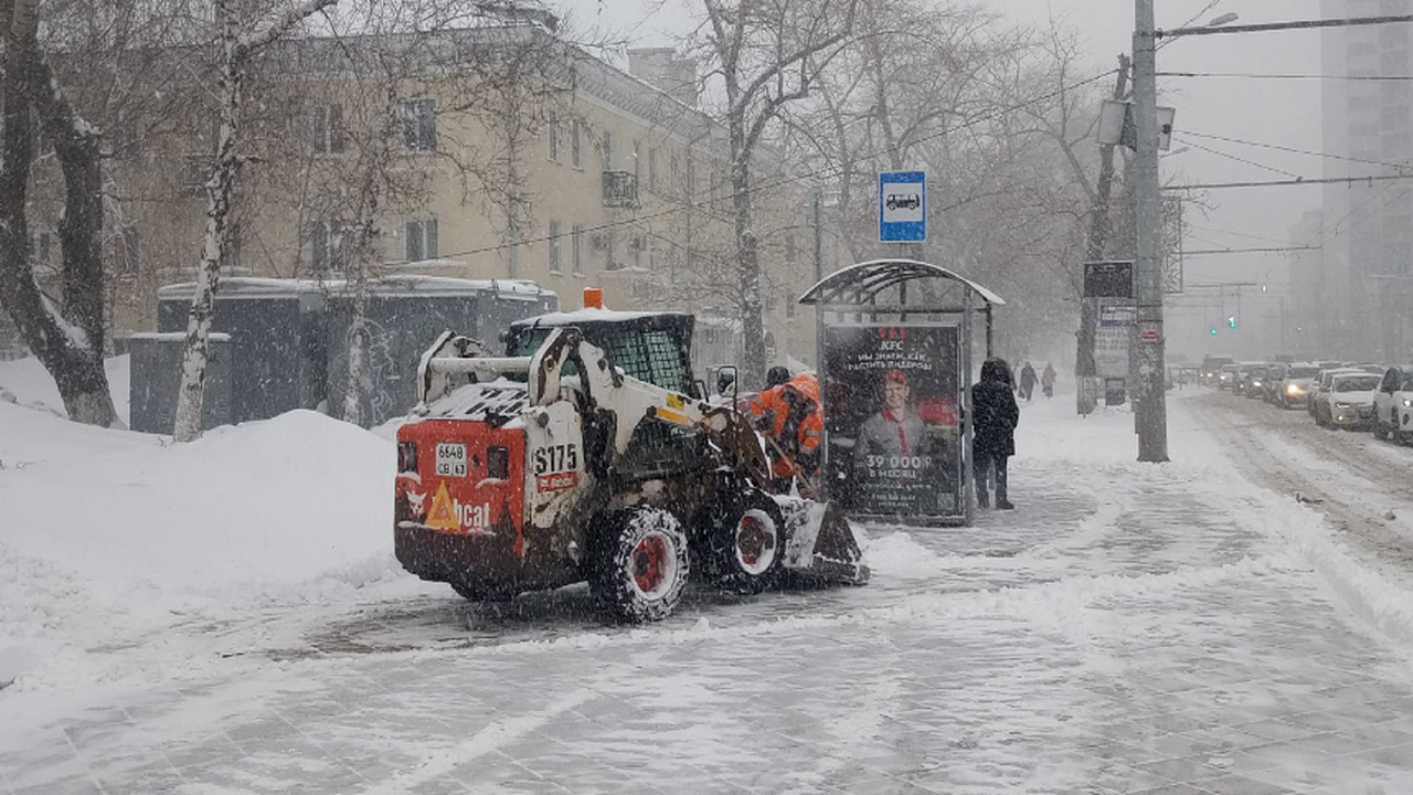 Согласно прогнозам российских экспертов, грядущ...