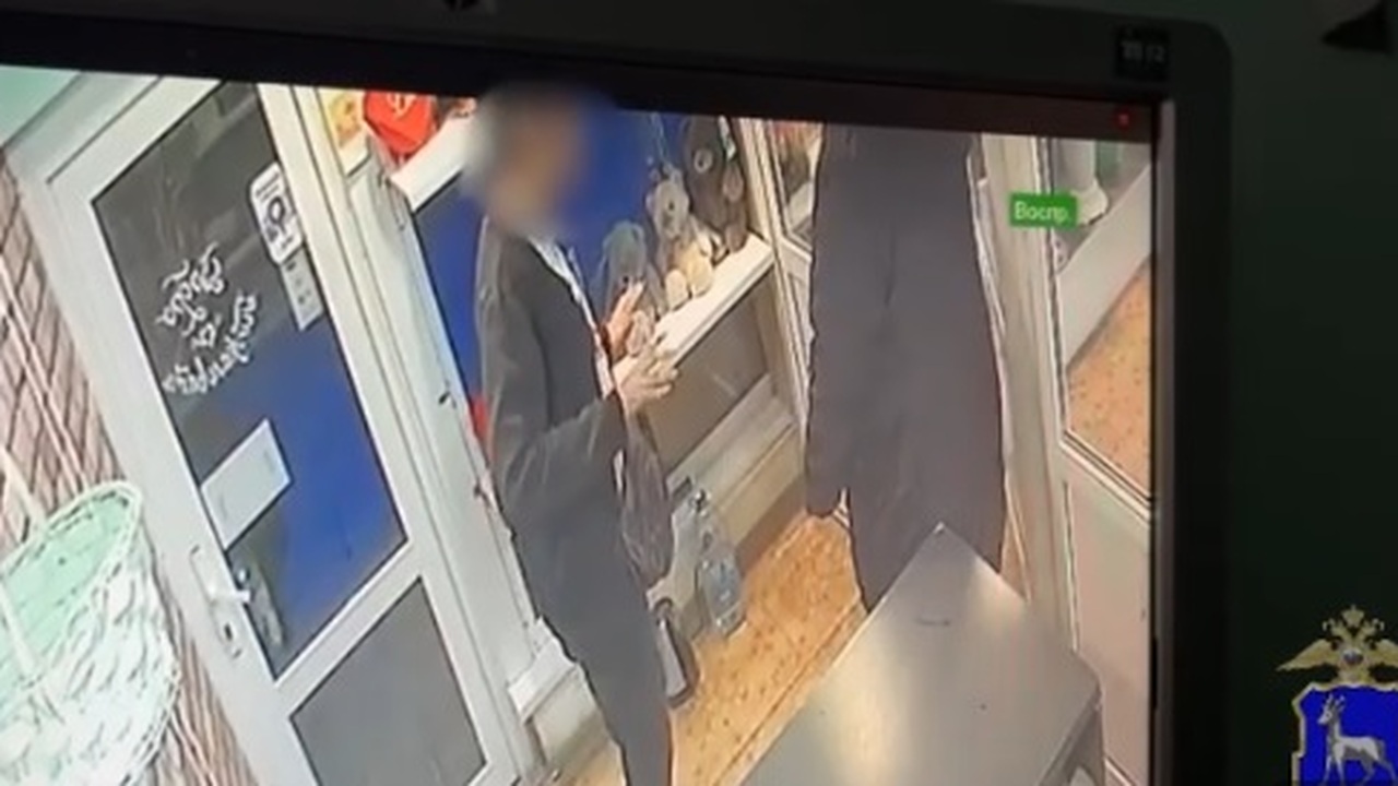 В Тольятти полицейские задержали молодого человека, подозреваемого в грабеже Подозреваемый вырвал из рук потерпевшего дорого...