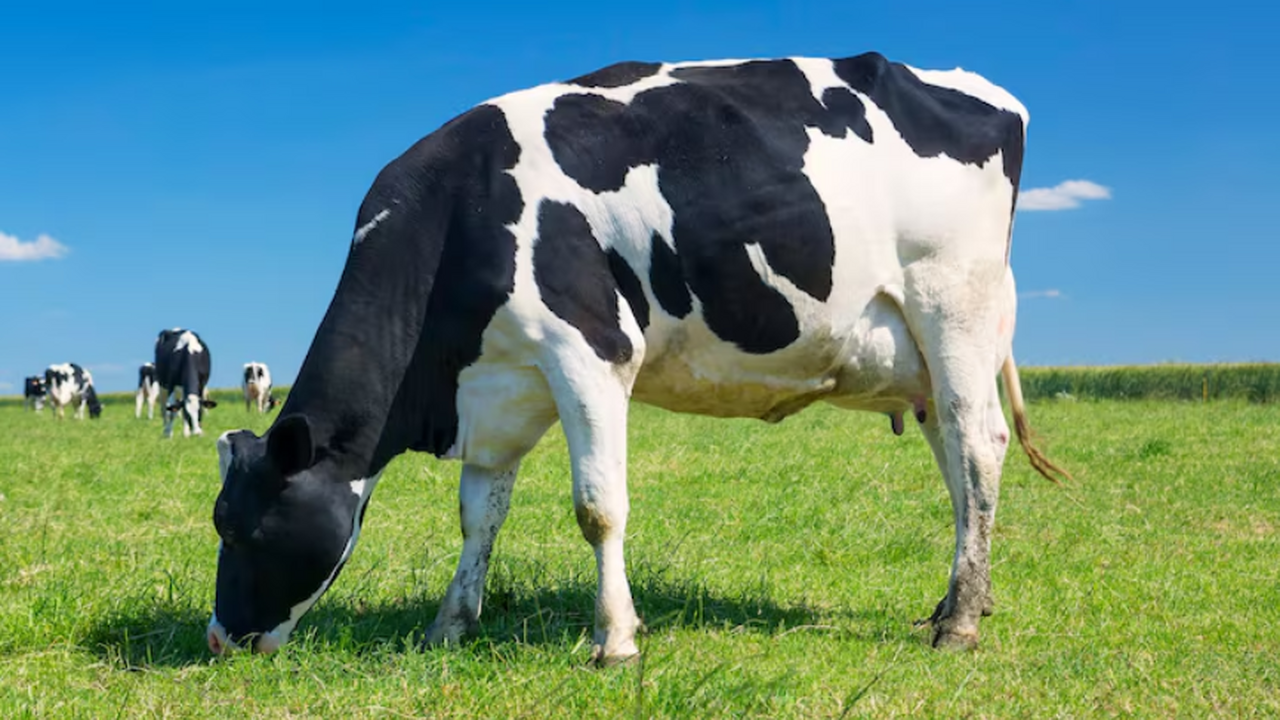 Исследование в Current Biology описывает случай...