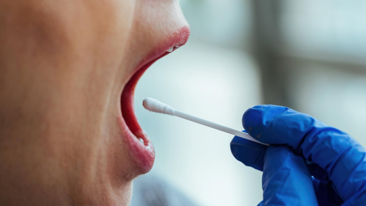 Исследование на мышах показало, что бактерия из...