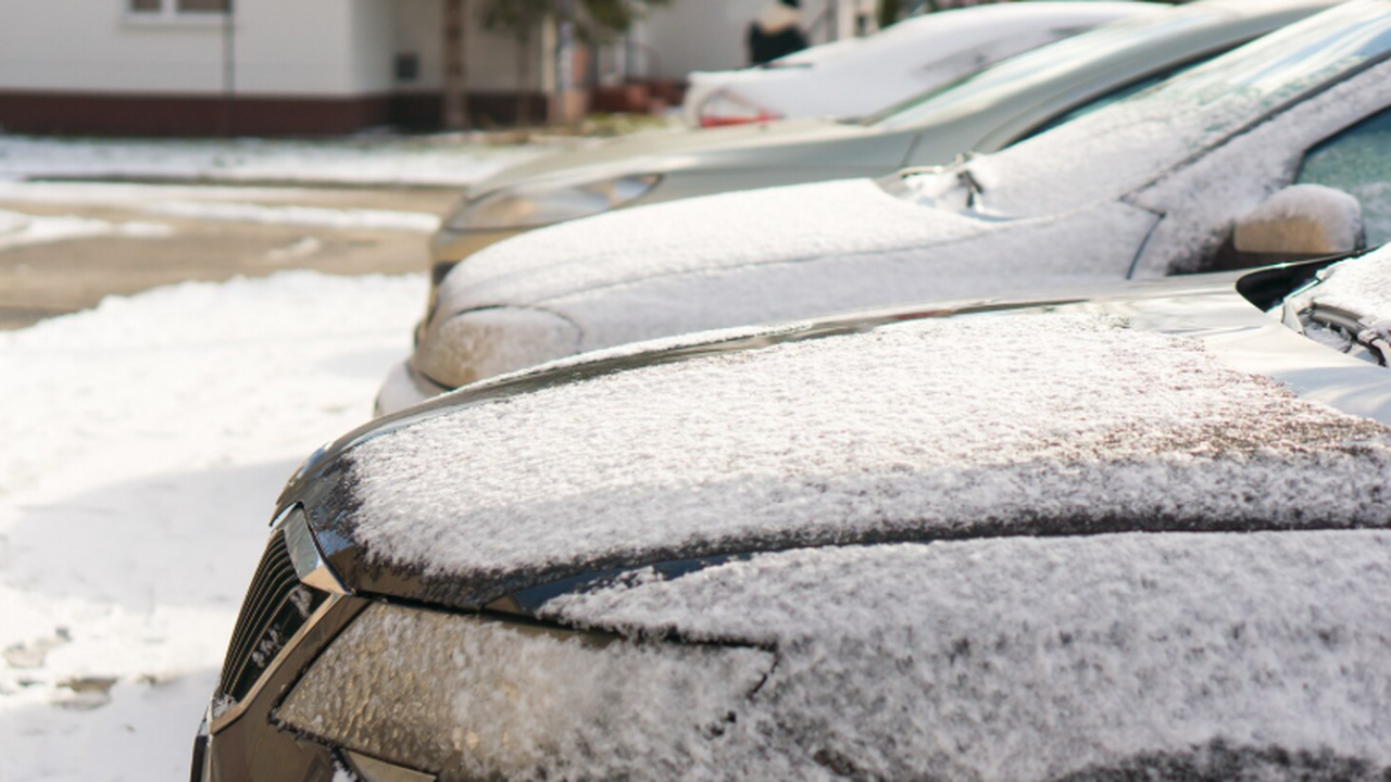 Эксперт Ревин поделился советами, как хранить а...