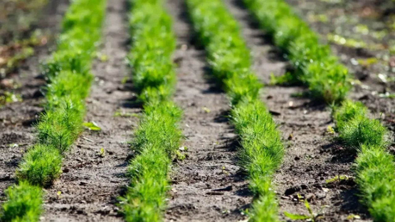 Мероприятия направлены на сохранение памяти о п...