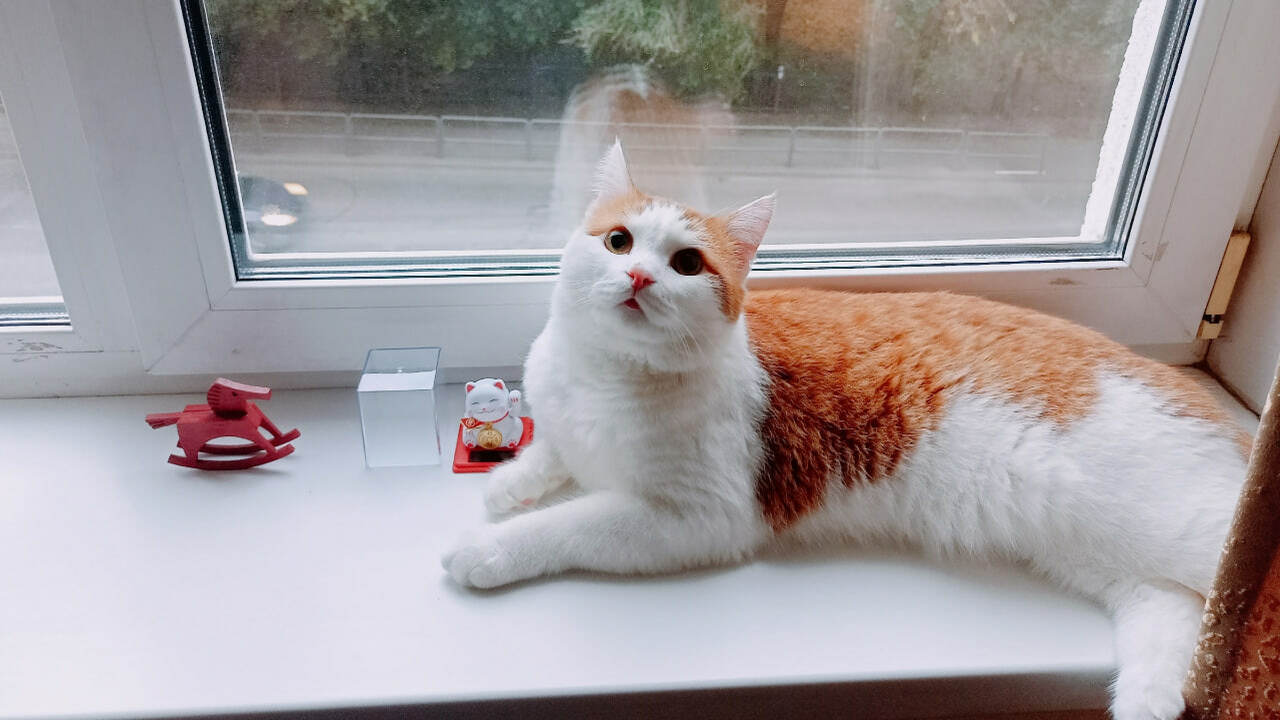 Иеромонах Феодорит рассказал, что православные ...