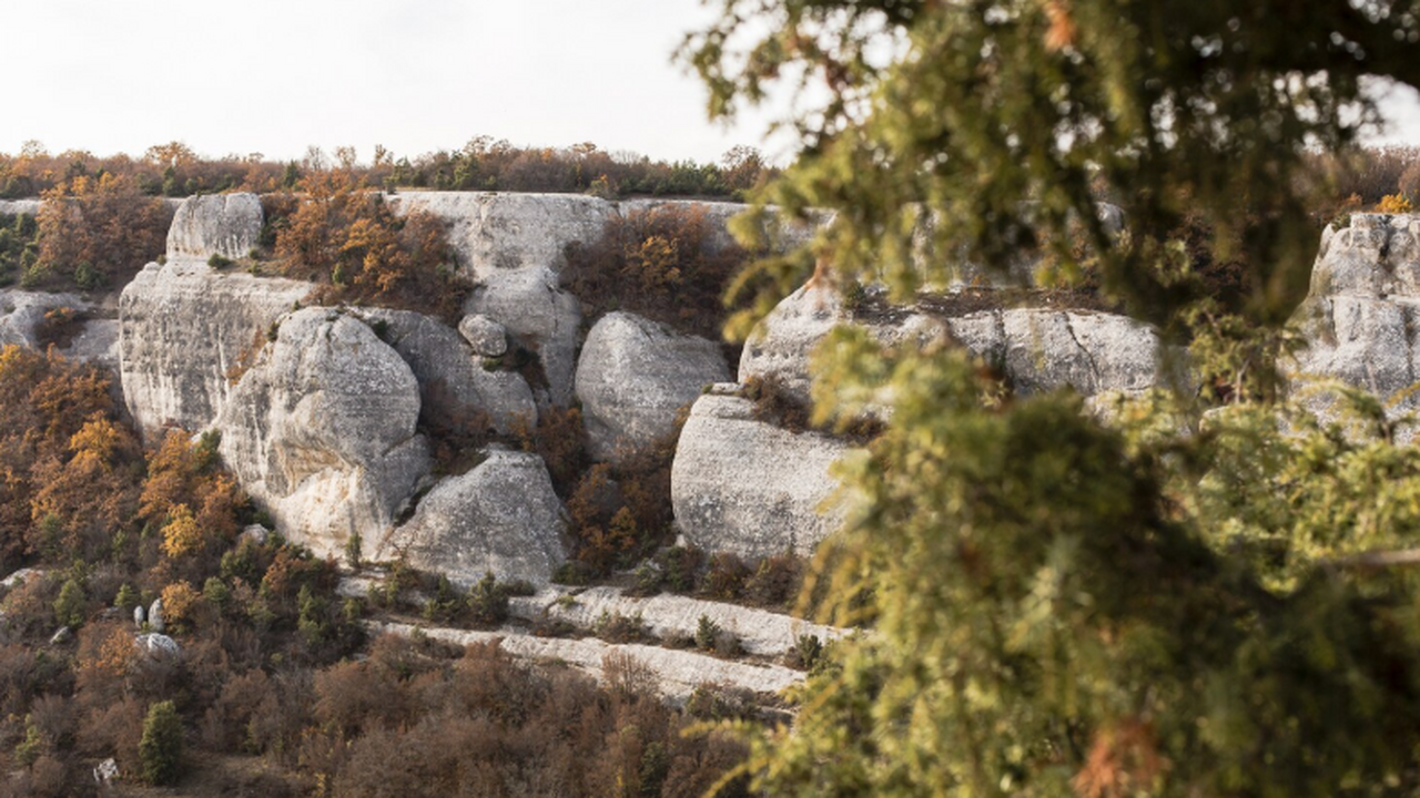 Оцифрованные фотографии 1941 года и спутниковые...