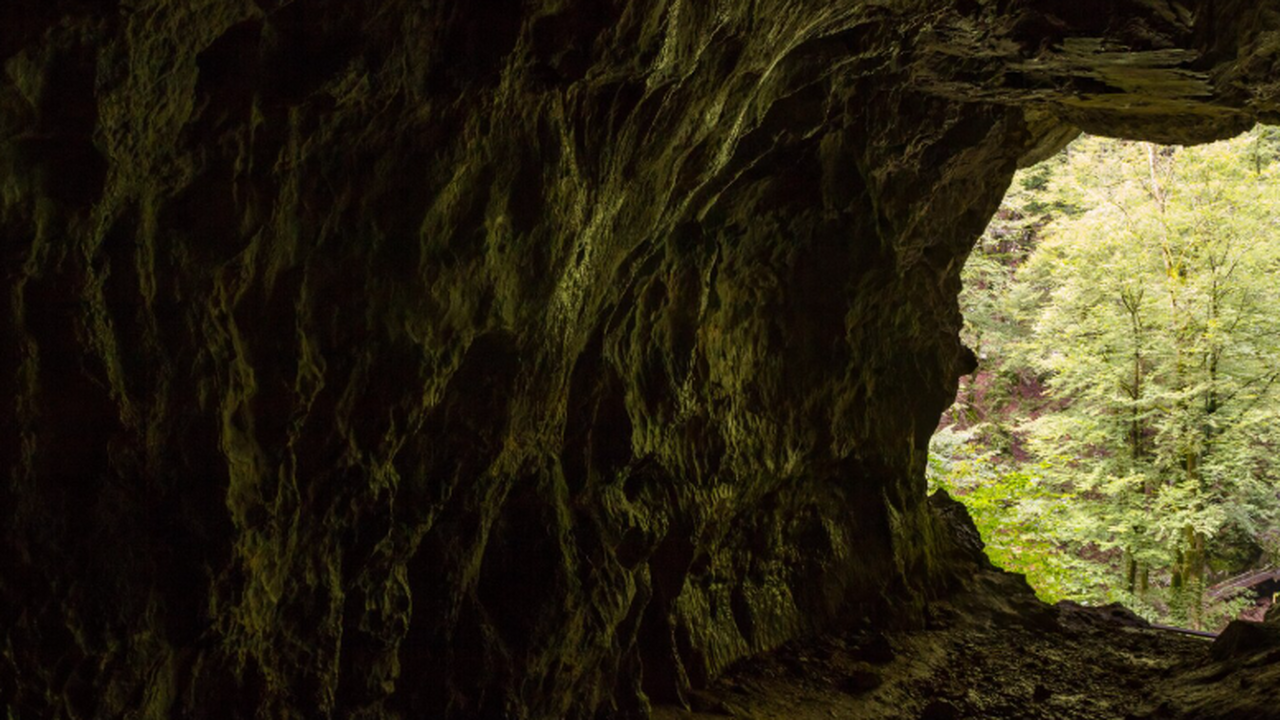 79 пещер Аравии раскрыли жизнь людей 10–100 тыс. лет назад Новое исследование показало, что внутренние рай...