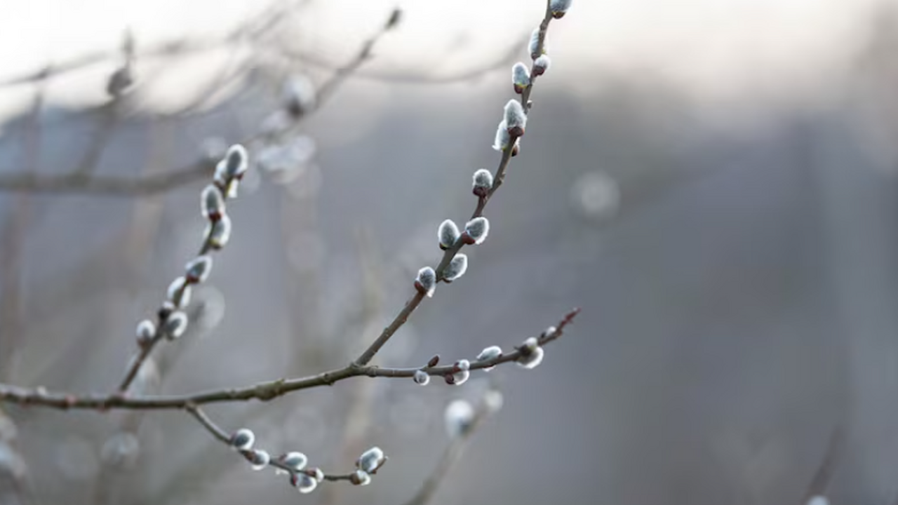 Иеромонах РПЦ Макарий (Маркиш) в интервью ТАСС ...