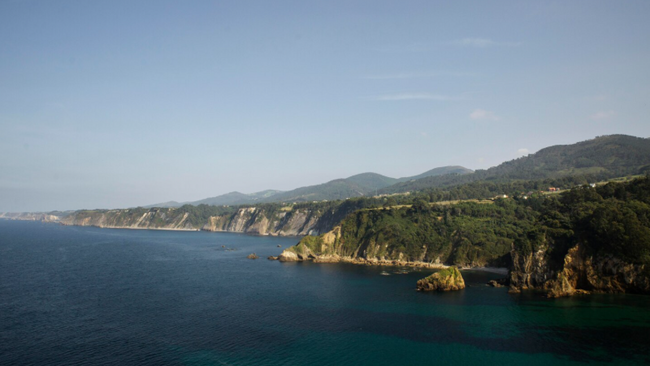 Учёные нашли в Крыму окаменелости двухметровых ...