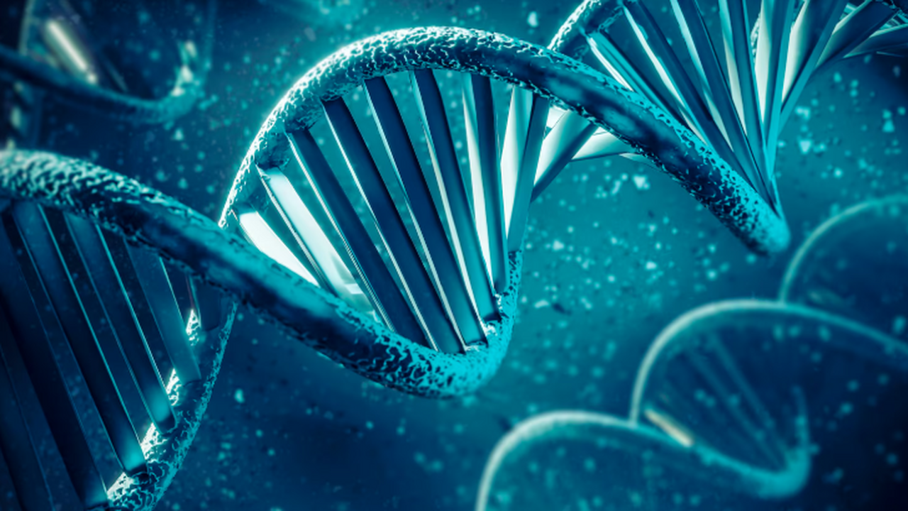 Учёные МГУ применили ИИ и мета-анализ 3000 белк...