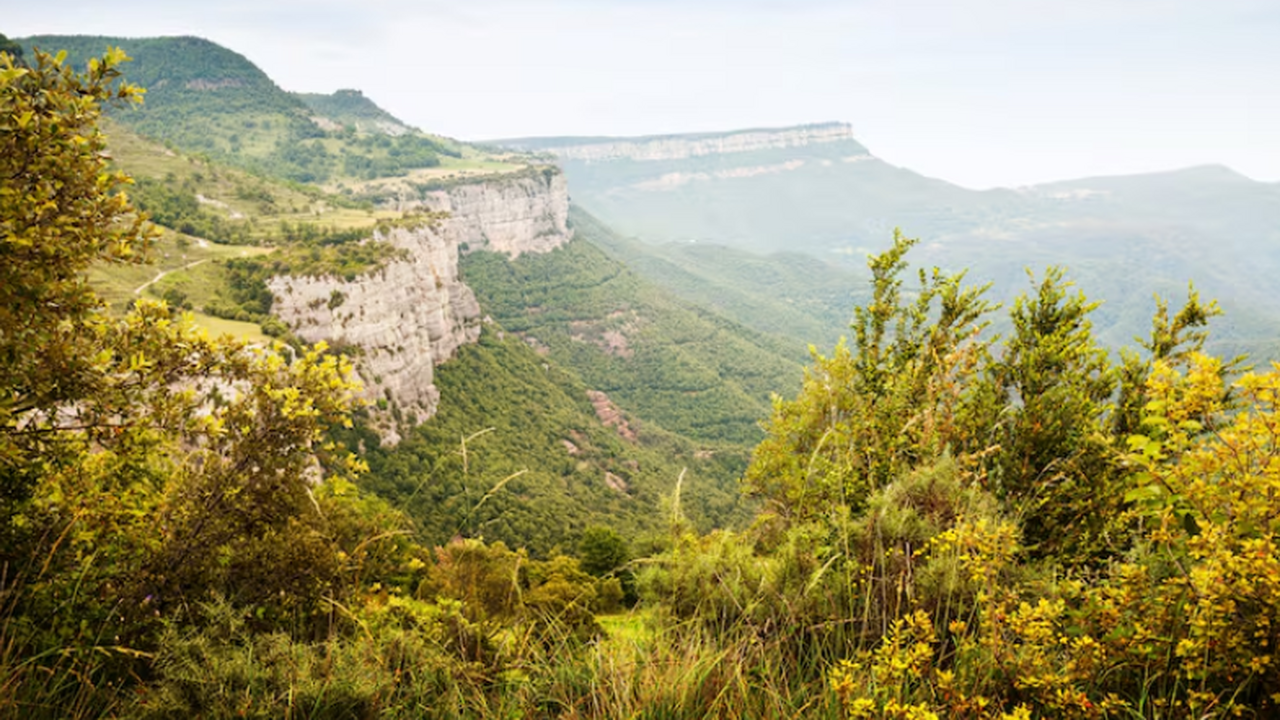 В Абхазии туристы платят за вход в рестораны по новым правилам Некоторые заведения общественного питания в Абх...