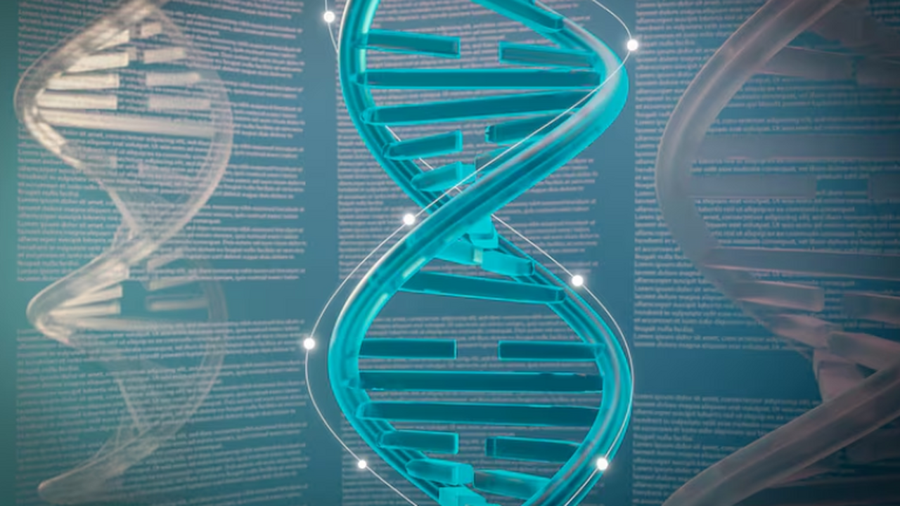 Геном человека хранит гигантский объём информац...