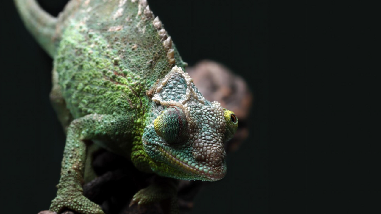 Новое международное исследование, опубликованно...