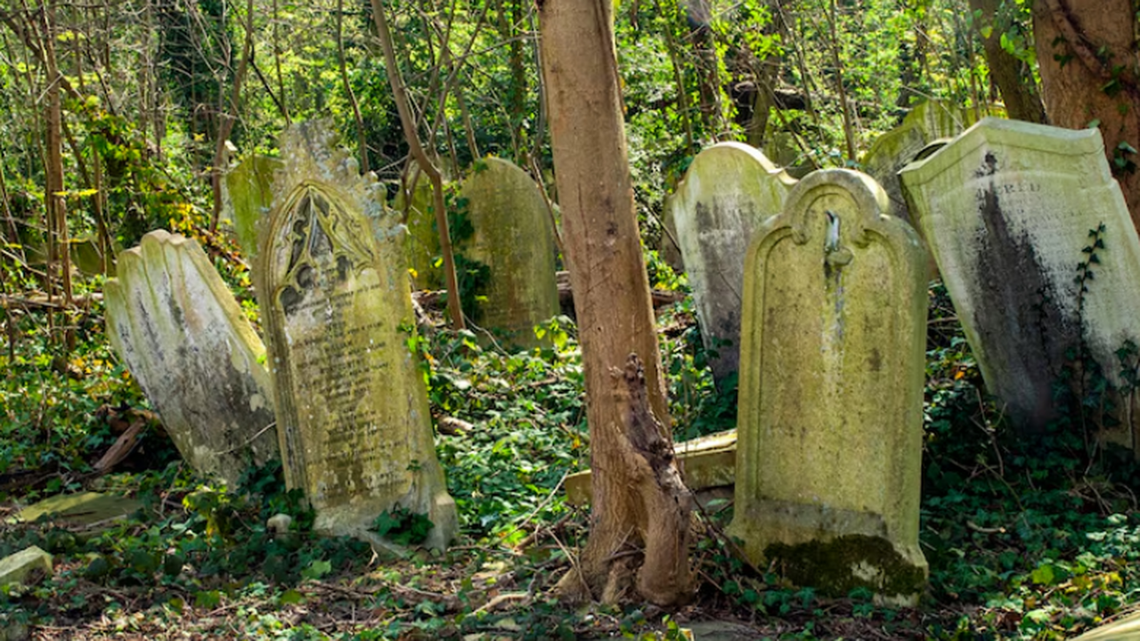 В Израиле раскопали древнюю могилу с останками 89 детей В Израиле обнаружено древнее массовое захоронен...