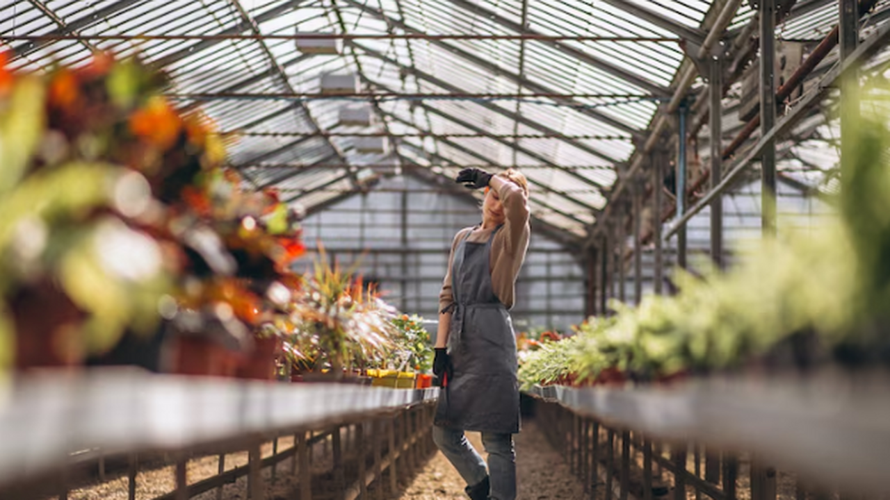 Осенью большинство дачников ставят точку: перек...