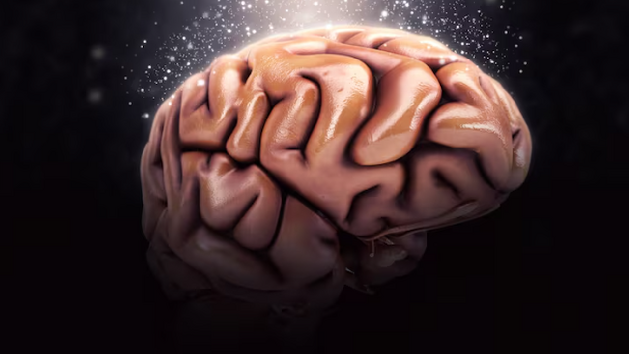 AIRI и МГУ представила интерактивную среду, пре...