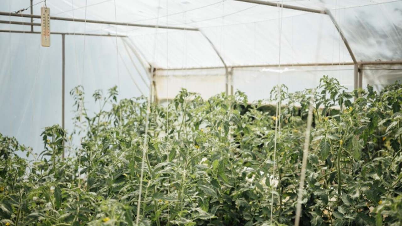 Интуиция подсказывает «закрыть всё наглухо от м...