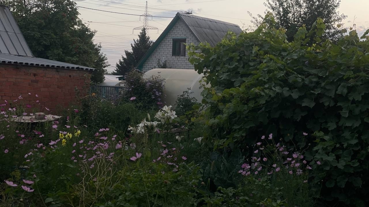 Биолог рассказал, какие растения в Самарской области могут не пережить зиму Гидрометцентр России прогнозирует более холодну...