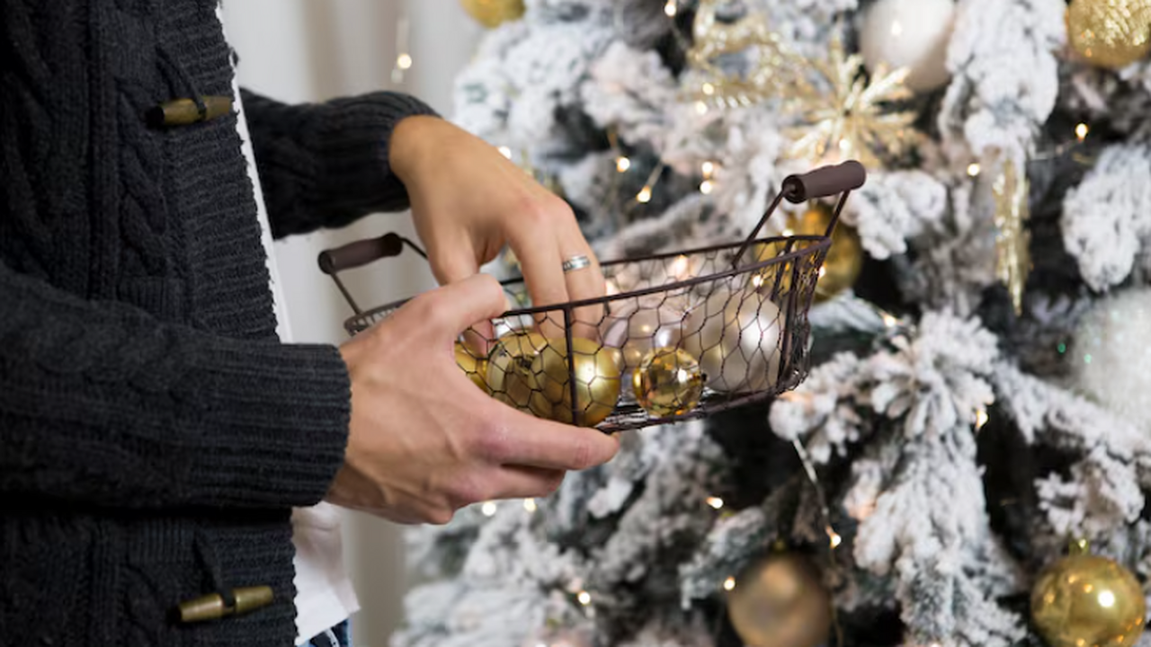 Эколог Шарафутдинов объяснил, чем опасен неправильный выбор ёлки Выбор новогодней ёлки — живая или искусственная...