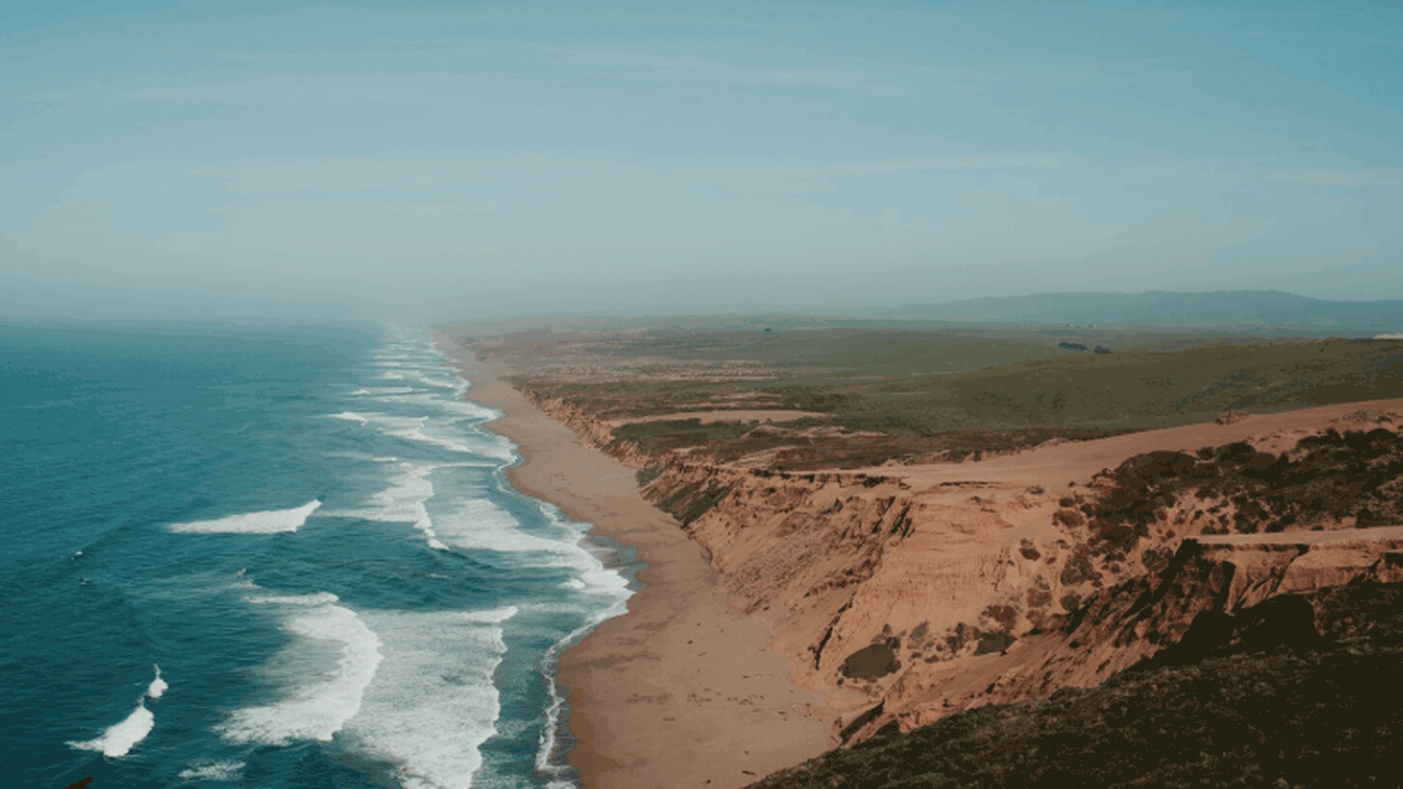 В Калифорнии две женщины обнаружили на берегу о...