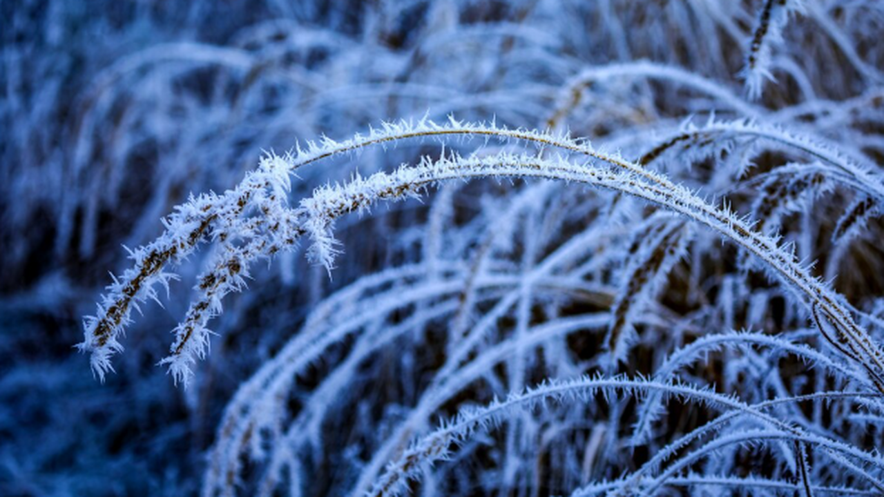 Центральная Россия живёт в редком режиме мягког...