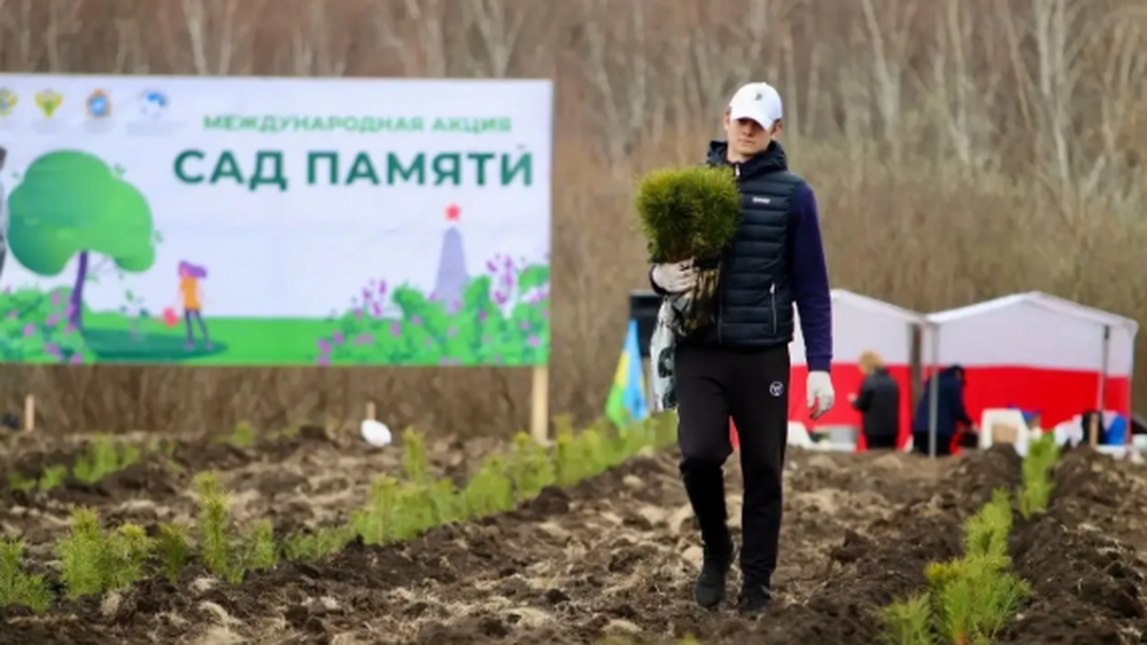 Реализация проходит в рамках национального прое...