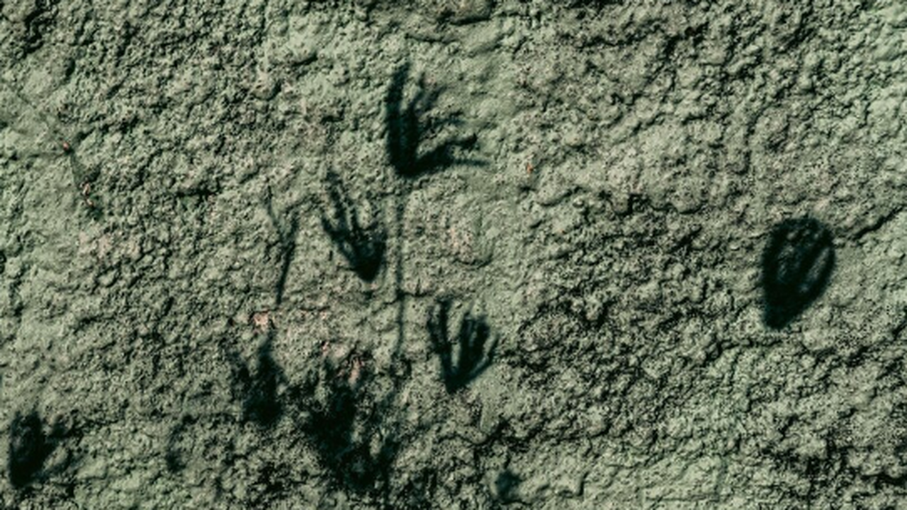 Nature: Следы динозавров обнаружили в формации Снежные равнины в Австралии Следы динозавров обнаружили в формации Снежные ...