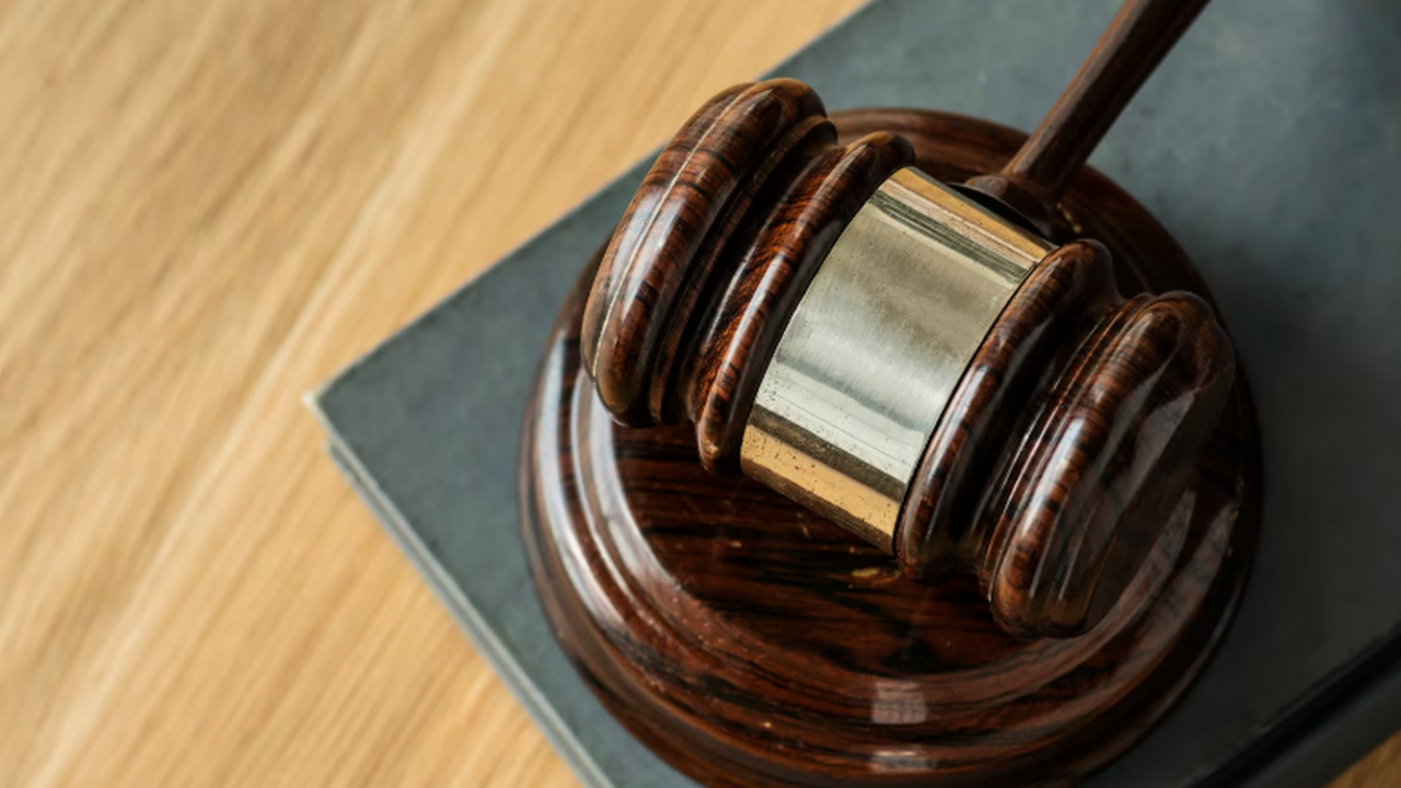 Лариса Долина на закрытом заседании Балашихинск...