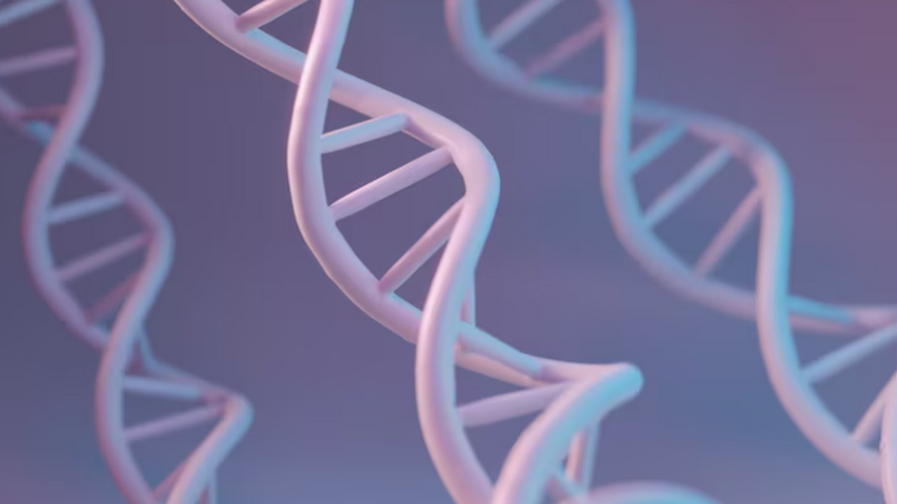 Эксперты рассказали, как генетика и развитие не...