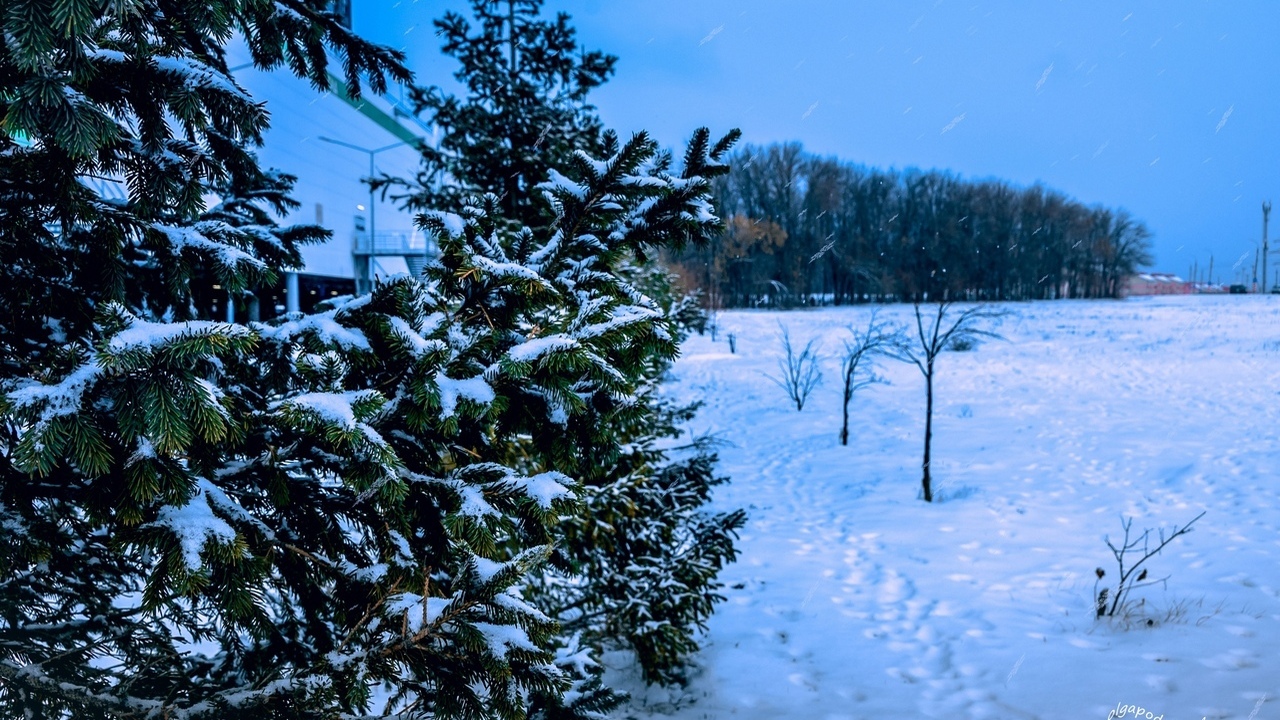 С 1 декабря лесная охрана минприроды Самарской ...