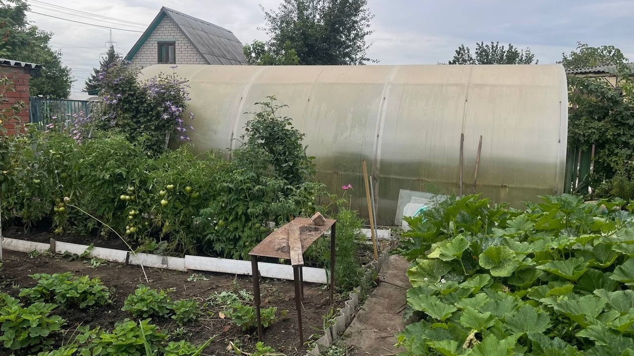 Приставы взыскали исполнительский сбор и добили...