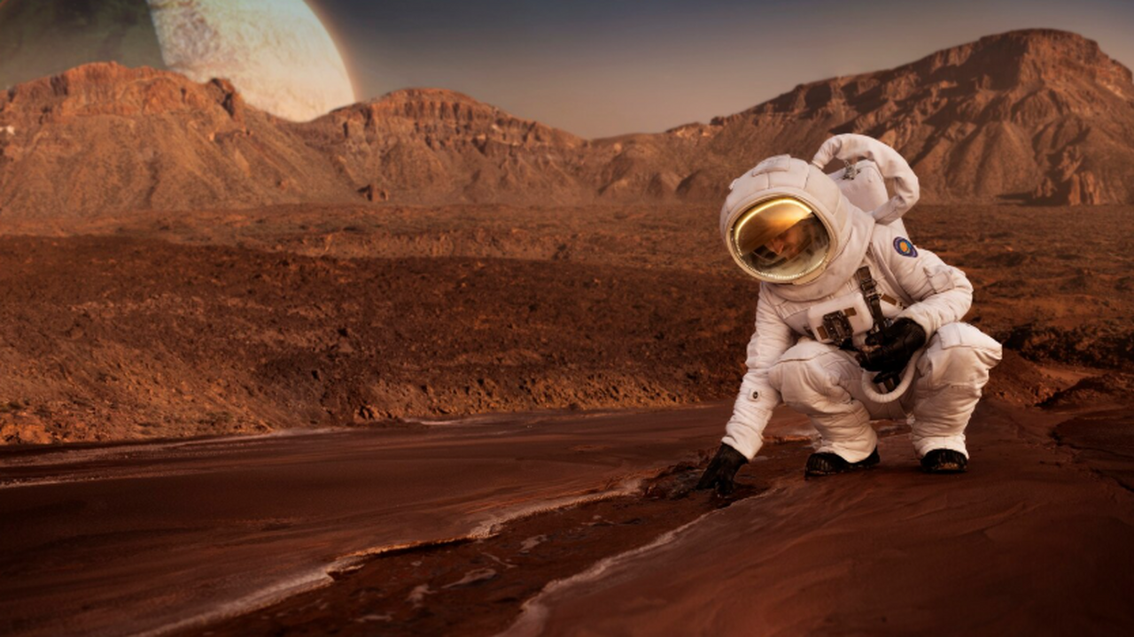 Ученые провели полевой эксперимент в засушливых...