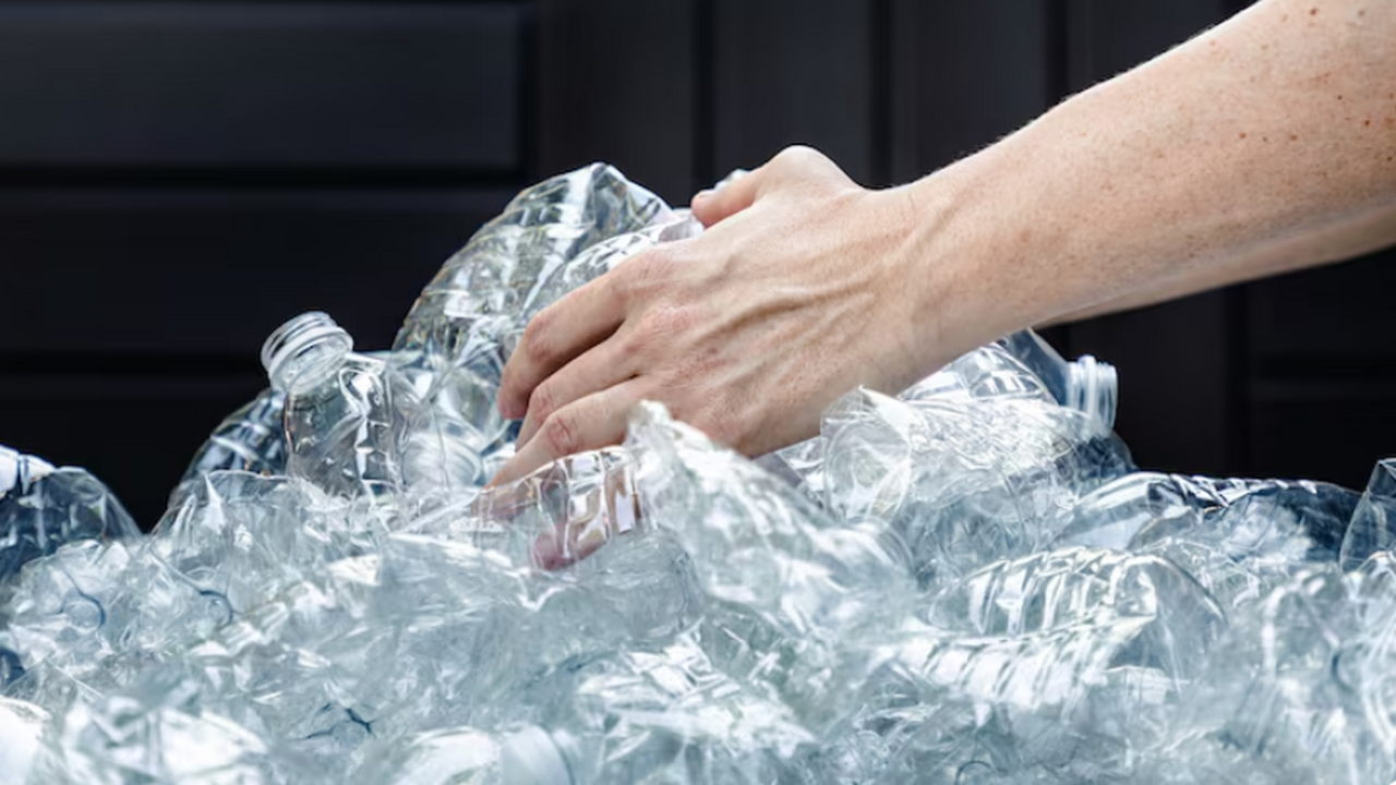 Ученые разработали новый вид биоразрушаемого пл...