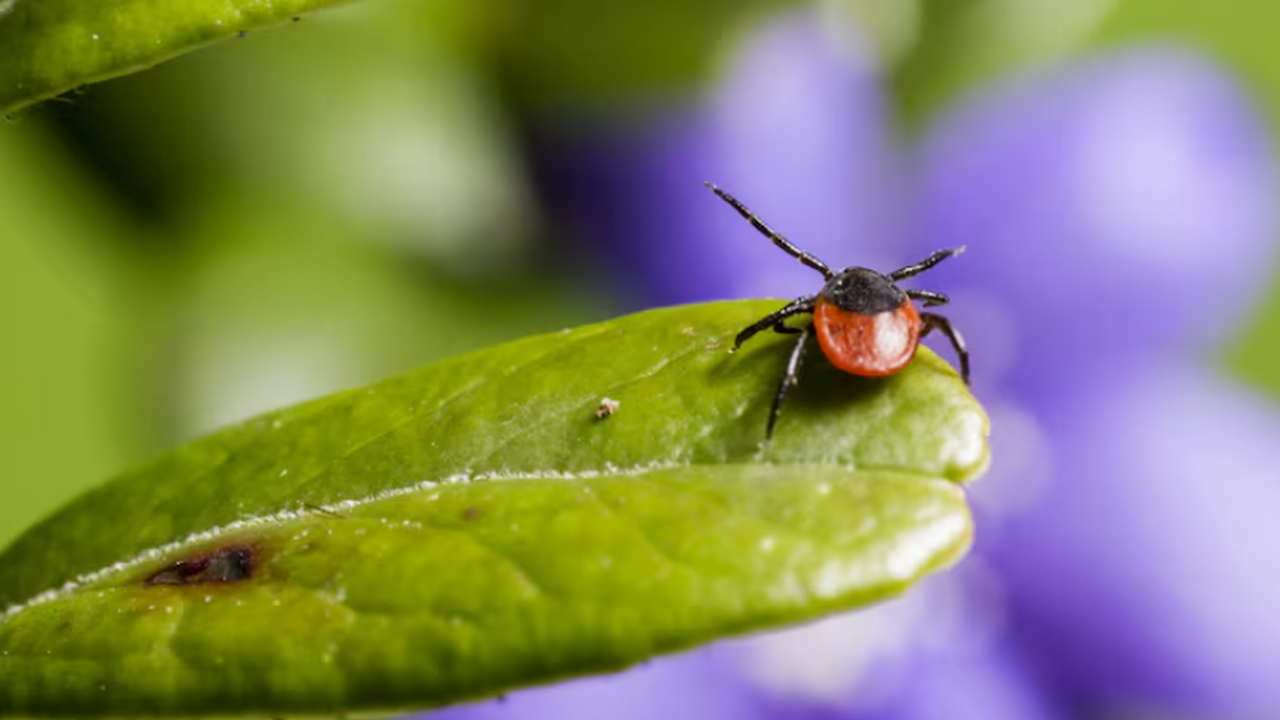 Врач объяснила россиянам, как снизить риск зара...