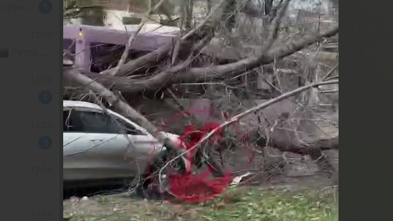9 ноября в Самаре автобус повалил дерево на припаркованную Lada X-Ray Пострадавших в результате инцидента нет