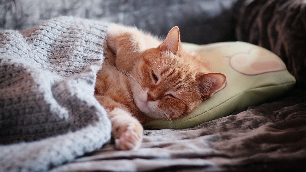 Женщины чаще мужчин ассоциируют безделье с отды...