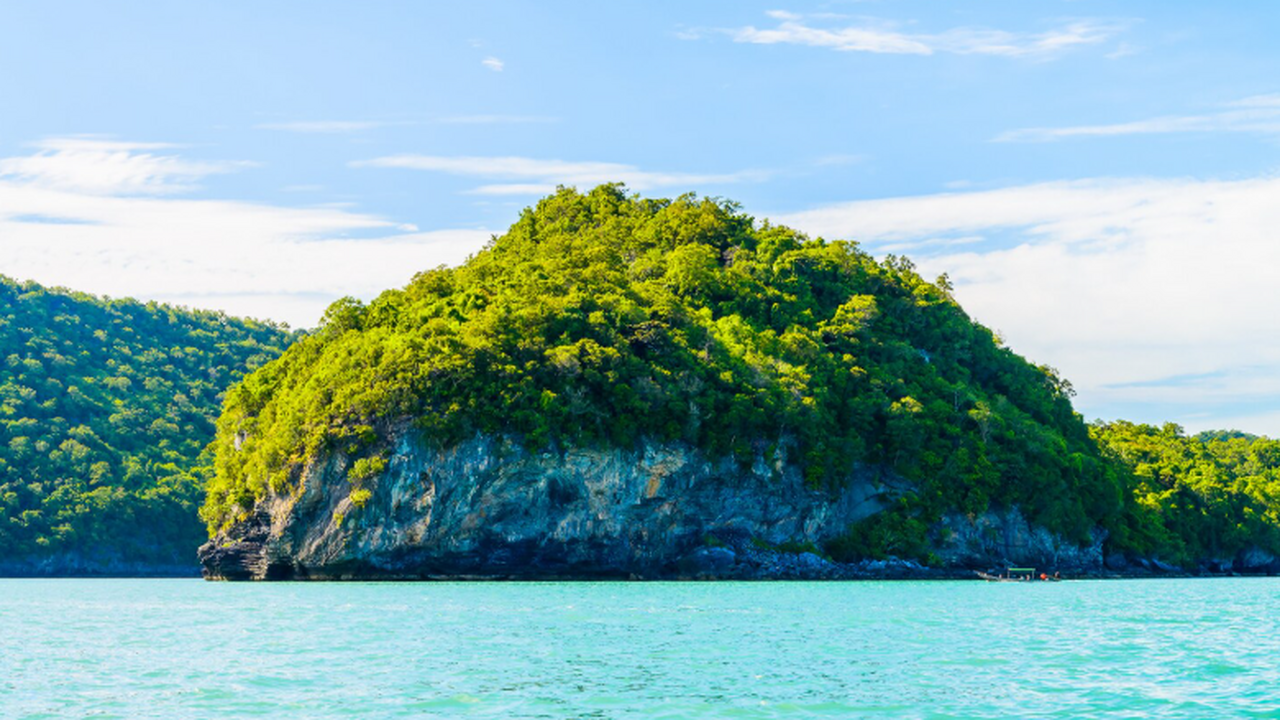 Лайнер ушёл без пассажирки: 80‑летняя туристка погибла на острове Лизард Пожилая туристка отстала от группы во время пеш...