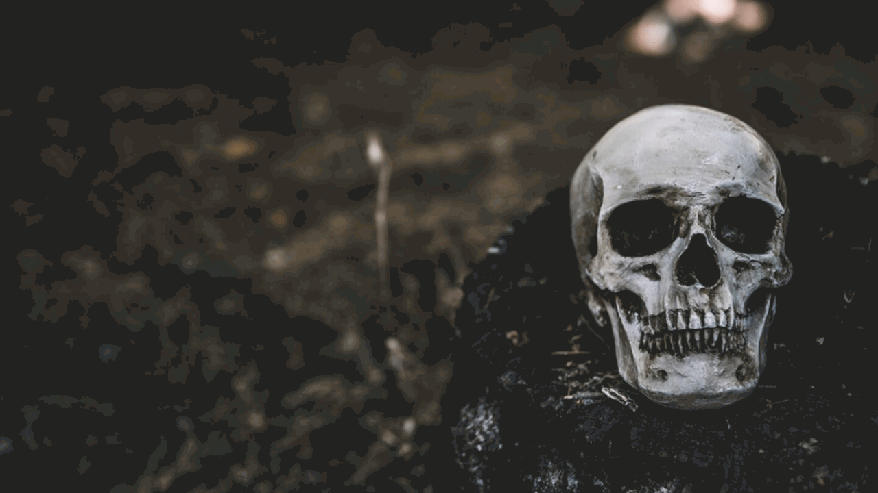 Учёные НГУ с помощью КТ выявили травмы и следы ...