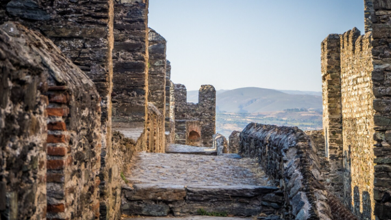 Археологи с помощью лидара обнаружили в заповед...